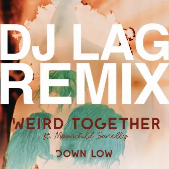 Down Low (DJ Lag Remix Extended) (feat. Moonchild Sanelly) by Weird Together