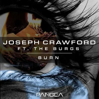 Burn by Joseph Crawford