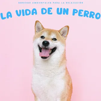 La Vida De Un Perro: Sonidos Ambientales Para La Relajación by Las leyendas de la música canina