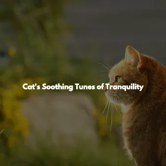 Cat's Soothing Tunes of Tranquility by Musica per Leggere