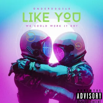 Like You by The Underdogs