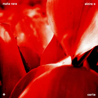 Mata Rara by Corte