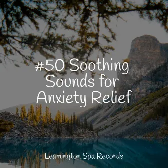 #50 Soothing Sounds for Anxiety Relief by Restless Baby Music