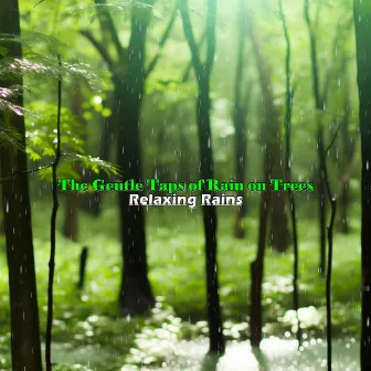 The Gentle Taps of Rain on Trees by Relaxing Rains