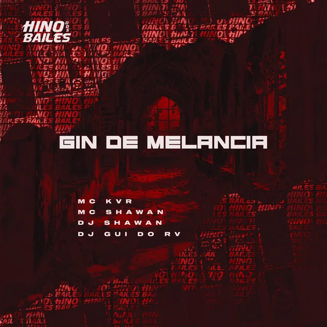 Gin de Melancia