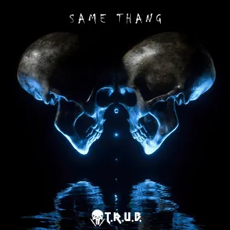 Same Thang by Trub