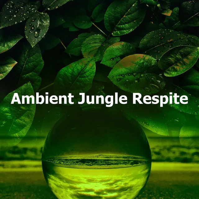 Ambient Jungle Respite