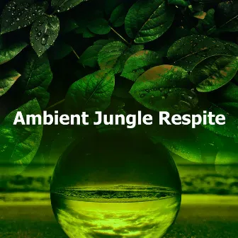 Ambient Jungle Respite by Wide Noise HD