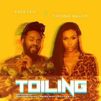 Toiling by Tiffanie Malvo