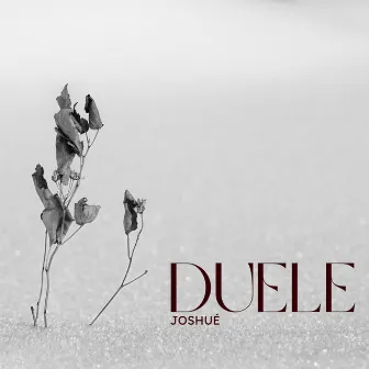 Duele by Joshué