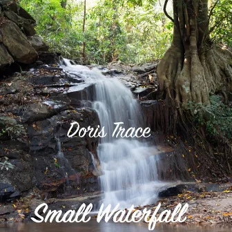 Small Waterfall by Doris Trace