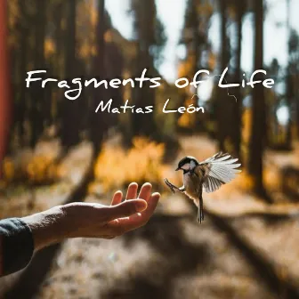 Fragments of Life by Matías León