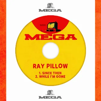 Since Then / While I'm Gone by Ray Pillow