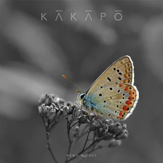 Remain Free by Kakapo