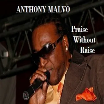 Praise Without Raise by Anthony Malvo