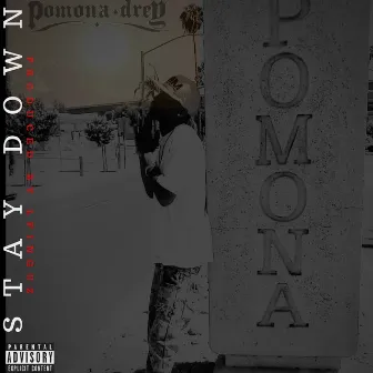 Stay Down by Pomona Drey