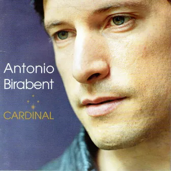 Cardinal by Antonio Birabent