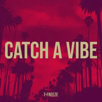 Catch A Vibe by T-Freeze