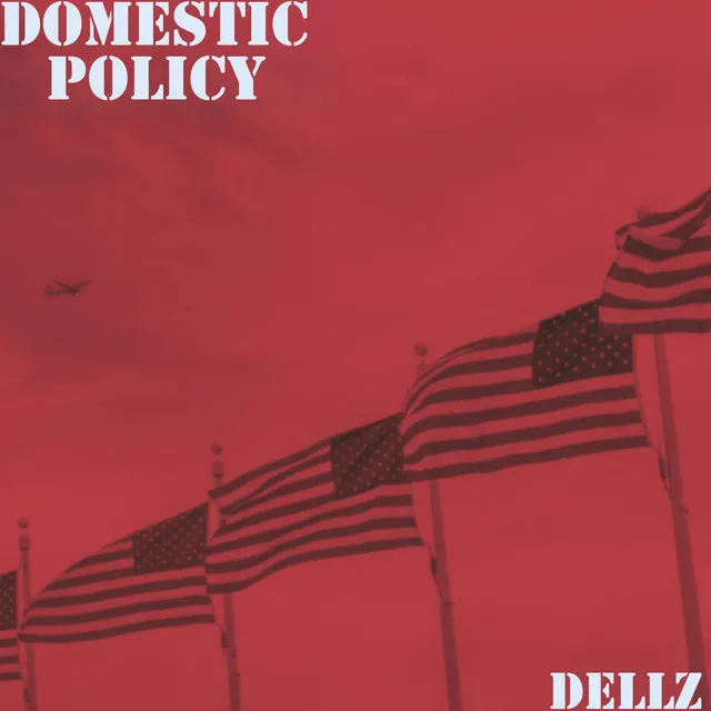 Domestic Policy