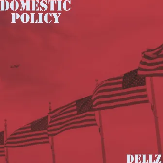 Domestic Policy by Dellz