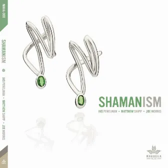 Shamanism by Matthew Shipp