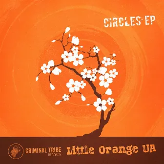 Circles by Little Orange Ua