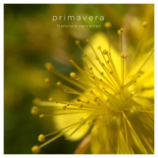 Primavera