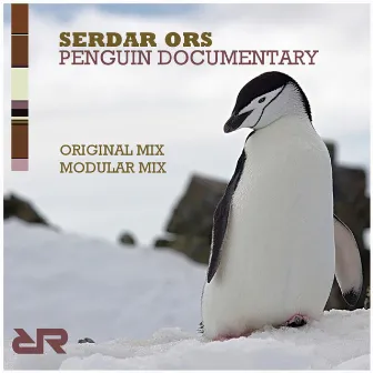 Penguin Documentary by Serdar Ors