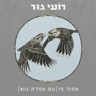 אמור פו by Efrat Gosh