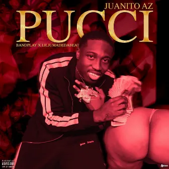 Pucci by Juanito AZ