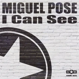 I Can See by Miguel Pose