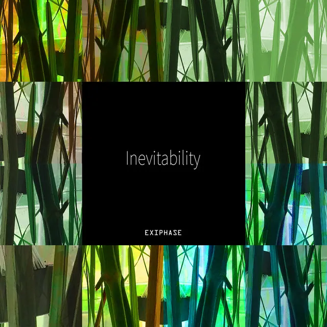 Inevitability