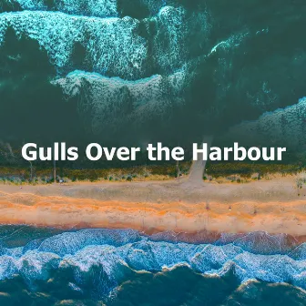 Gulls Over the Harbour by Fresh Water Sounds