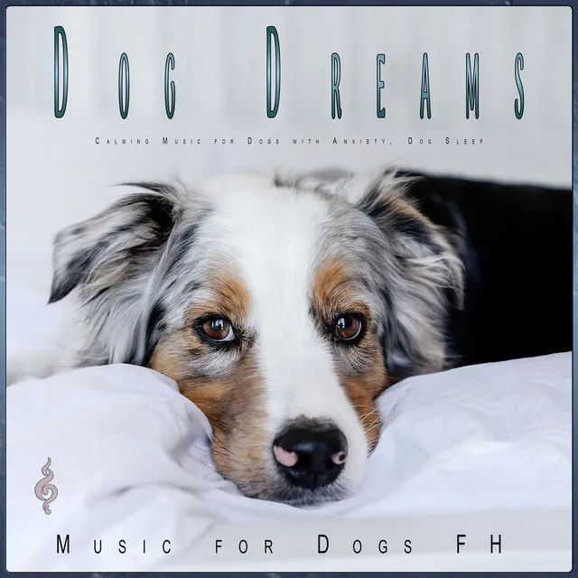 Dog Sleep Music