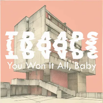 You Won It All, Baby by Julia Catherine Parr