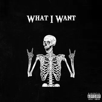 What I Want by R.BIGGS