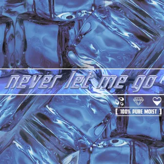 Never Let Me Go by moistbreezy