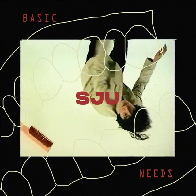 BASIC NEEDS