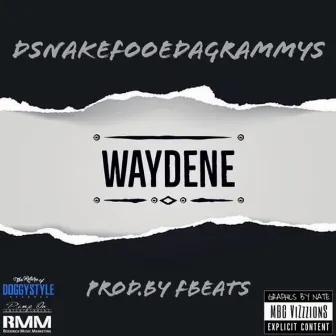 Waydene by Dsnake Fooeda Grammys