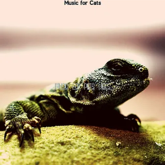 Music for Cats by 