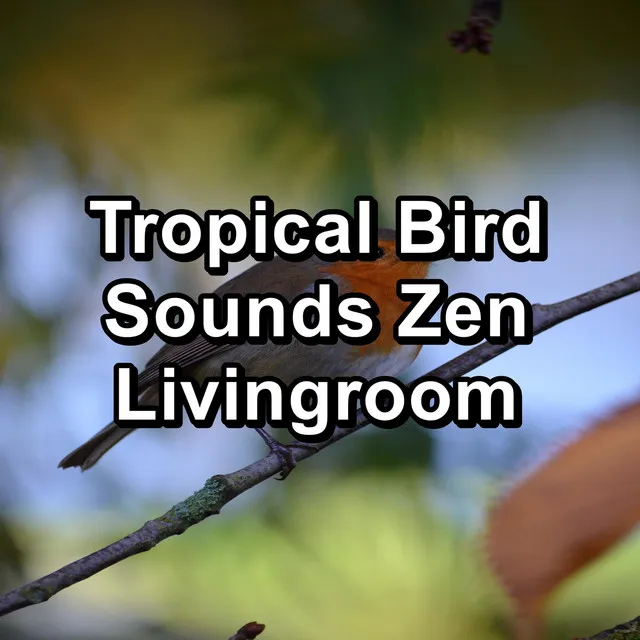 Forest Bird Sounds Ambience Sounds For Your Baby