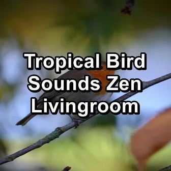 Tropical Bird Sounds Zen Livingroom by Relax Bird Sounds