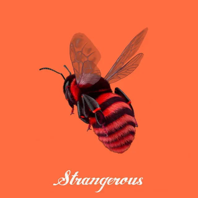 Strangerous