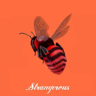 Strangerous by Unknown Artist