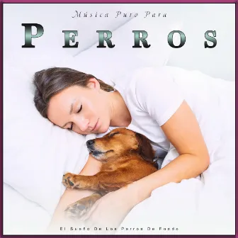 Música Puro Para Perros: El Sueño De Los Perros De Fondo by Ansiedad De Los Perros