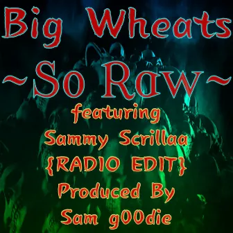 So Raw (Radio Edit) by Big Wheats