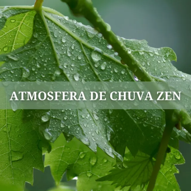 Atmosfera De Chuva Zen