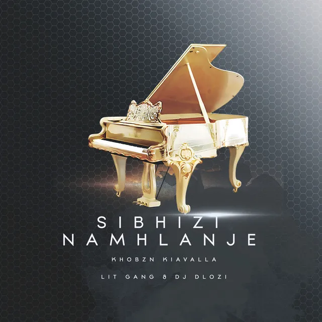 Sibhizi Namhlanje (Radio Edit)