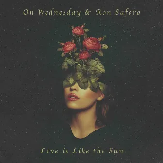 Love Is Like the Sun by On Wednesday