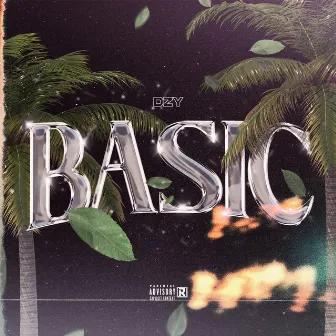 Basic by DZY